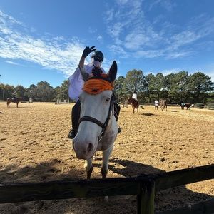 Meet your Posher, Annabelle